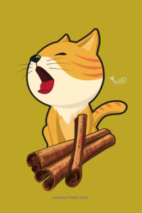 Do cats eat cinnamon