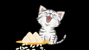 Can cats eat rice cake