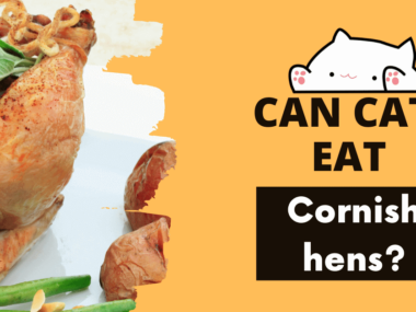 Can cats eat Cornish hens