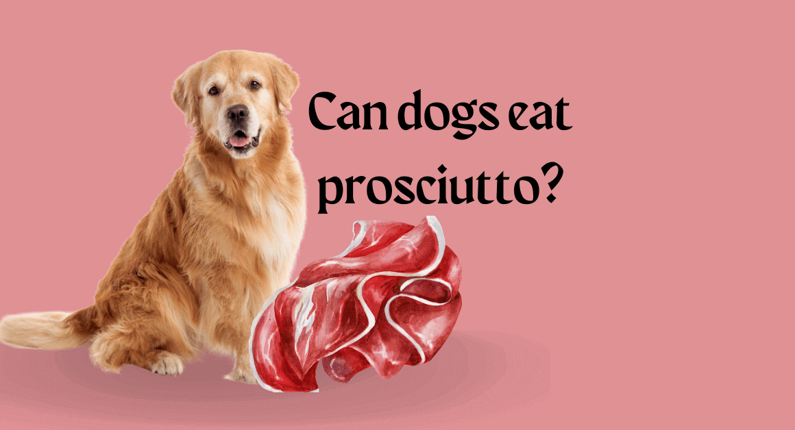 Can dogs eat prosciutto