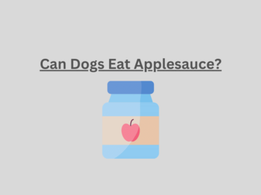 Can Dogs Eat Applesauce