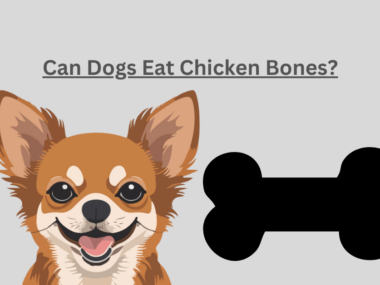 Can Dogs Eat Chicken Bones