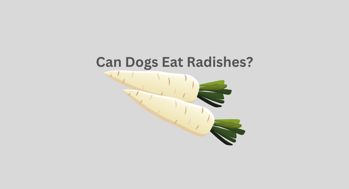 Can Dogs Eat Radishes