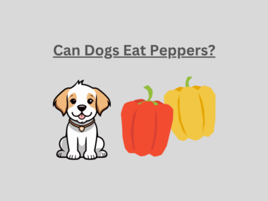 Can Dogs Eat Peppers