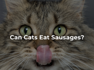 Can Cats Eat Sausages?