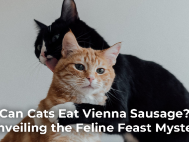 Can Cats Eat Vienna Sausage?